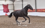 JAC_4788