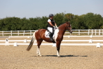 SBM_005629