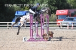 BPP_2915