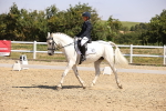 SBM_003667