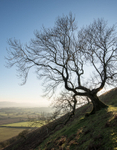 Ragleth Hill