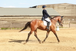 SBM_000209