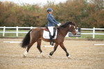 SBM_001686