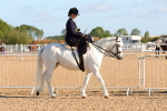 SBM_08133