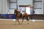 SBM_009253