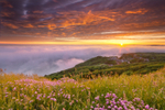 z2202 Sea Mist and Sunset, Blackgang