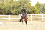 SBM_003613