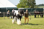 SBM_08864