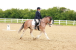 SBM_006464