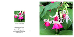 014 Fuchsia Wharfedale