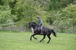 WJ6_3464