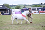 SBM_09910