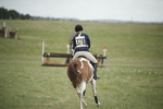 BVHT 140517  NXC -104