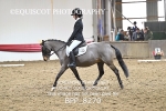BPP_8270