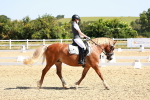 SBM_009784
