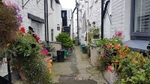 The quirky little lane in front of Dolphins