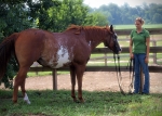 Haleys Horse_017