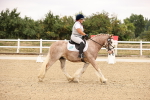 SBM_006417