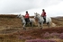 SPXX2752