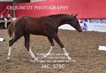 JAC_5780