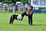 SBM_03652