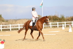 SBM_009161