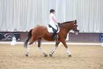 SBM_000176