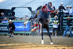 2026 All-Star College Rodeo portfolio