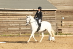 SBM_000311