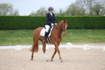Unaffiliated Dressage portfolio