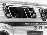 Greyhound school trip