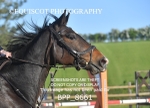 BPP_8661