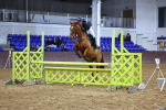 SBM_002620