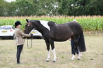 WJ6_5627