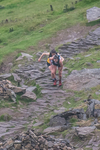Inter Counties Women-3