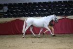 SBM_05026
