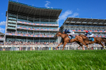 220826-Race 6-Sale Shark-5830