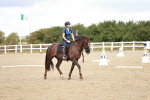 SBM_010231