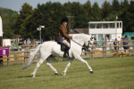 SBM_10232