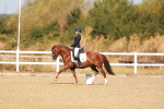 SBM_016819