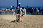 3HRodeo8-11-25_PRCASteer_01979_