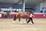 SBM_16711