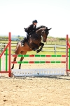 SBM_000686