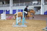 Class 4 - 70cm portfolio