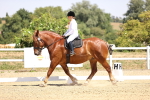 SBM_004131