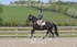 BPP_6403