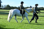 SBM_35544