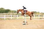 SBM_024019