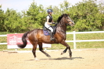 SBM_001471
