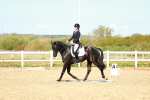 SBM_000223
